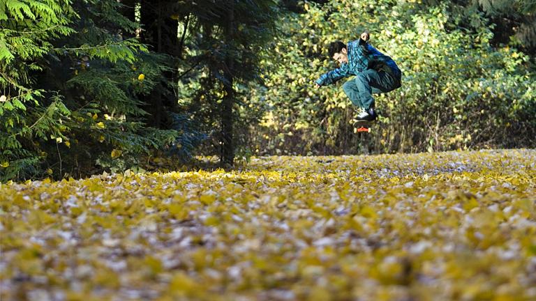 Eye Candy : Fall Ollie