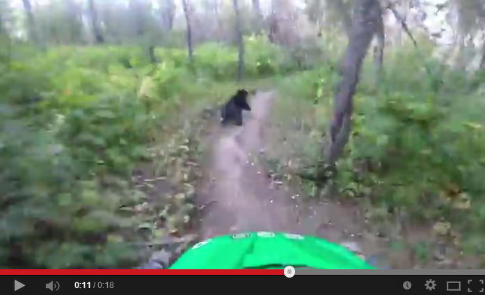 Chill ride de mountainbike? Par pour ce rider [Vidéo]