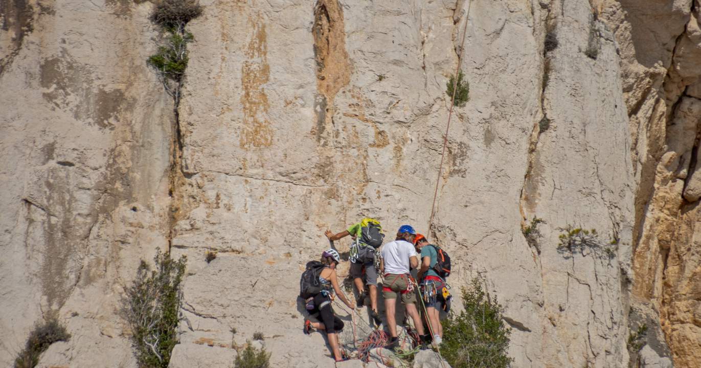 La Pro Climbing League : un format qui change l'escalade