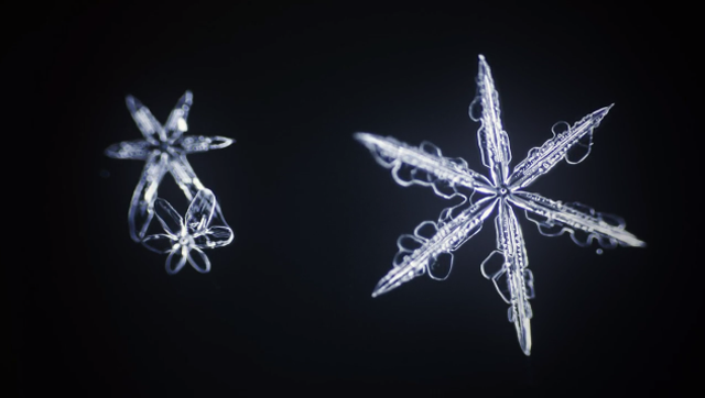 Watch The Birth Of A Snowflake