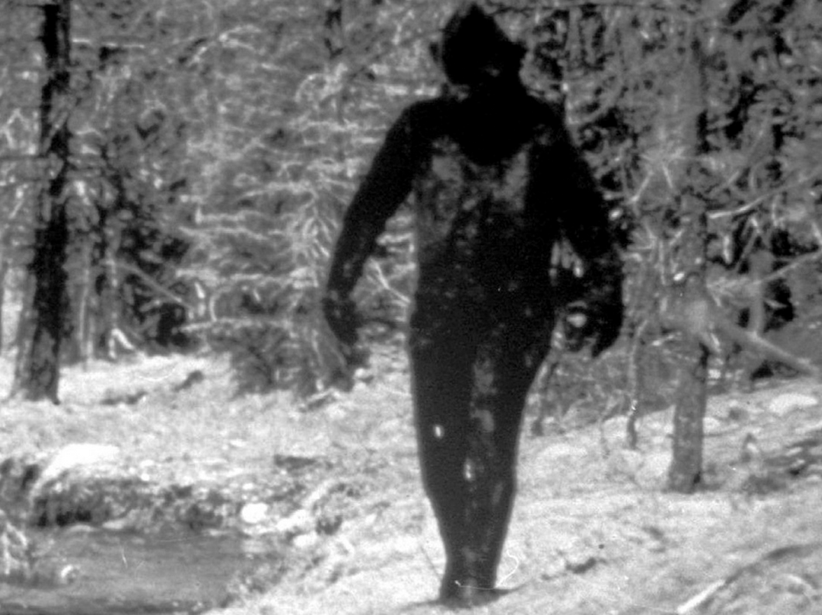 Sasquatch Filmed By Snowmobilers In Whistler Backcountry