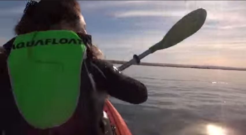Faire du kayak sur le dos d’une baleine, why not?